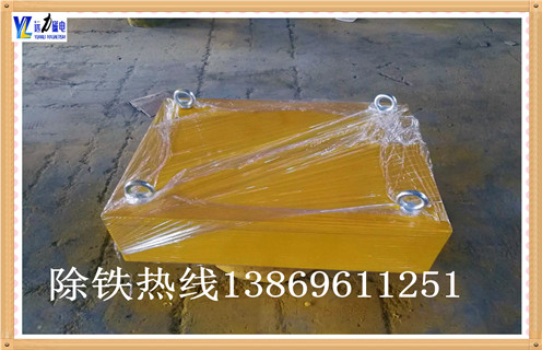 中國(guó)永磁除鐵器rcyb 8